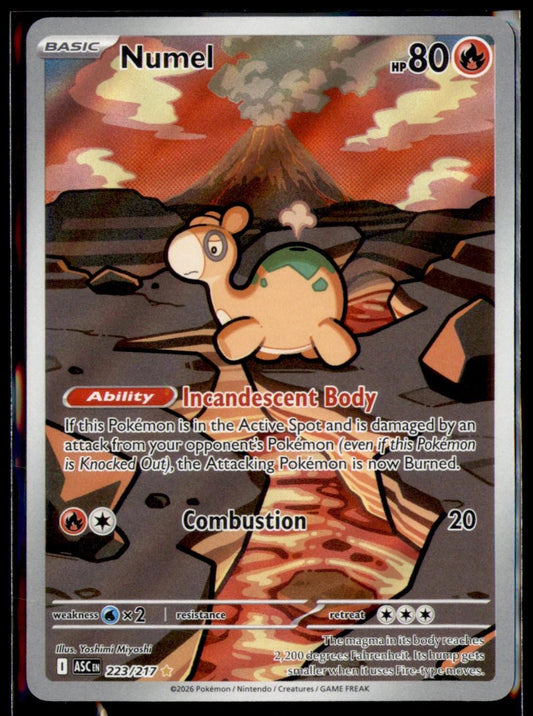 Numel - 223/217 - Illustration Rare - Ascended Heroes